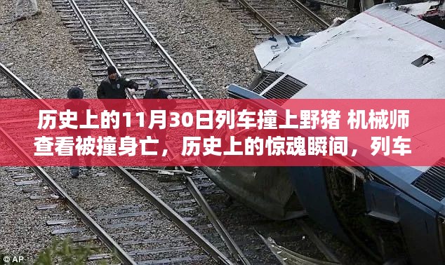 列車與野豬的驚魂瞬間，機械師查看被撞身亡的歷史悲劇