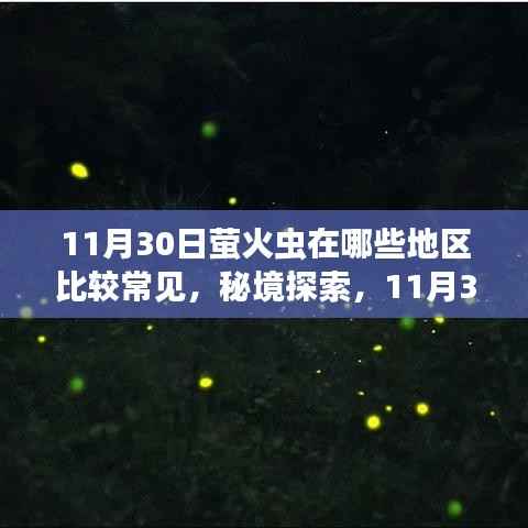 秘境探索，螢火蟲飛舞的詩意之地與小巷中的螢火秘境——11月30日螢火蟲常見地點一覽