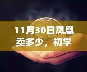 11月30日購買鳳凰攻略，初學(xué)者也能輕松掌握的詳細(xì)步驟指南