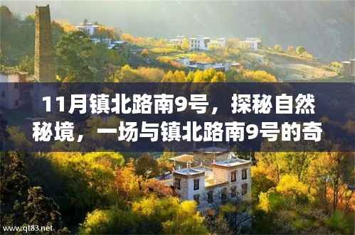 鎮(zhèn)北路南9號自然秘境探秘之旅
