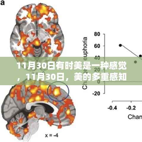 11月30日，美的多重感知之旅