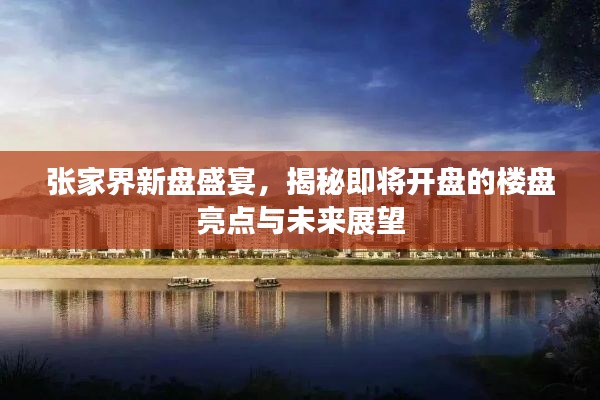 張家界新盤盛宴揭秘，未來樓盤亮點與展望