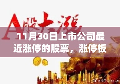 漲停板盛宴，股市情緣見(jiàn)證一家人的喜悅時(shí)刻