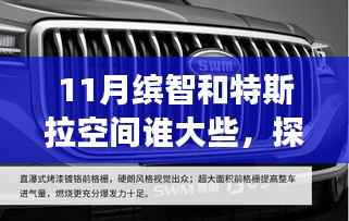 11月繽智與特斯拉空間對比，誰的空間更大，自然美景之旅探索