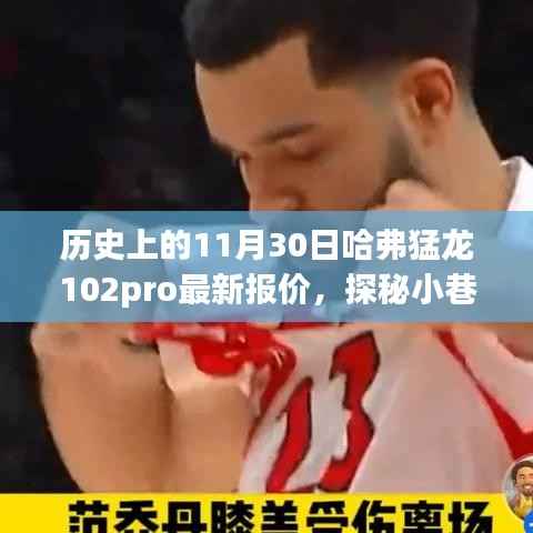 11月30日哈弗猛龍102pro報價揭秘，探秘小巷深處的寶藏