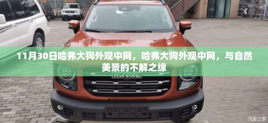 哈弗大狗外觀中網(wǎng)與自然美景的不解之緣揭秘