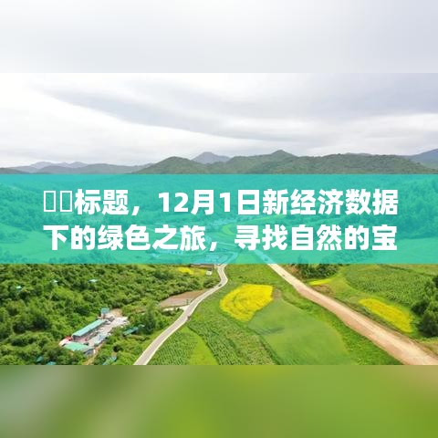 新經(jīng)濟(jì)數(shù)據(jù)下的綠色之旅，探尋自然寶藏，擁抱內(nèi)心寧?kù)o的啟程