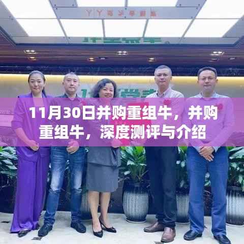 并購(gòu)重組牛深度測(cè)評(píng)與介紹，揭秘行業(yè)趨勢(shì)與機(jī)遇
