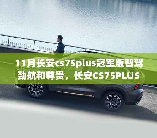 要求 第230頁(yè)