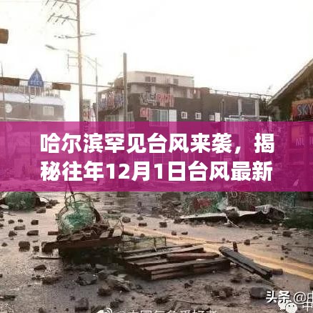 哈爾濱罕見臺(tái)風(fēng)來襲，揭秘往年臺(tái)風(fēng)路徑與深遠(yuǎn)影響