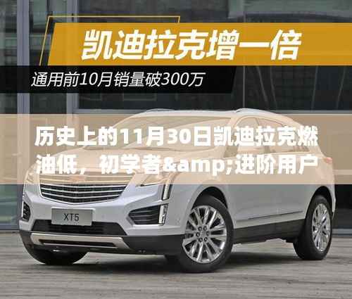 解決凱迪拉克燃油問題的詳細(xì)步驟指南，適用于初學(xué)者與進(jìn)階用戶，歷史上的11月30日回顧與指導(dǎo)