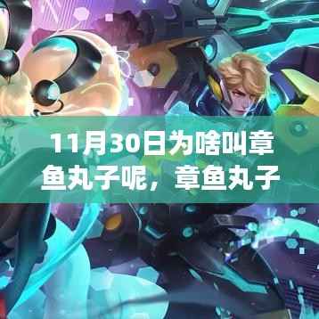 11月30日章魚丸子呼喚的心靈之旅，與自然美景的交融體驗