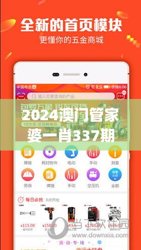 2024澳門管家婆一肖337期,持久性方案解析_Windows173.822-8