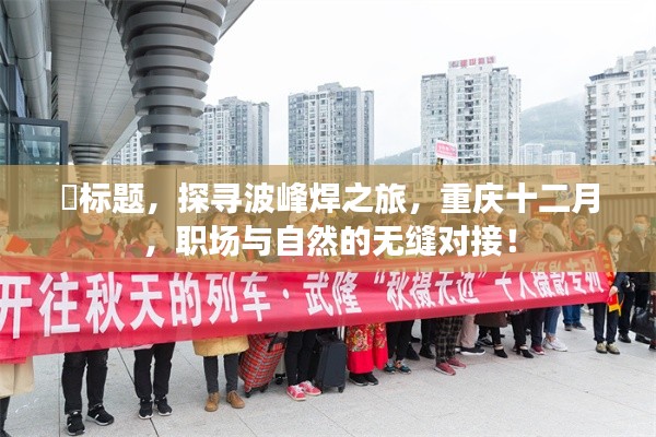 探尋波峰焊之旅，重慶十二月職場與自然的無縫對接！