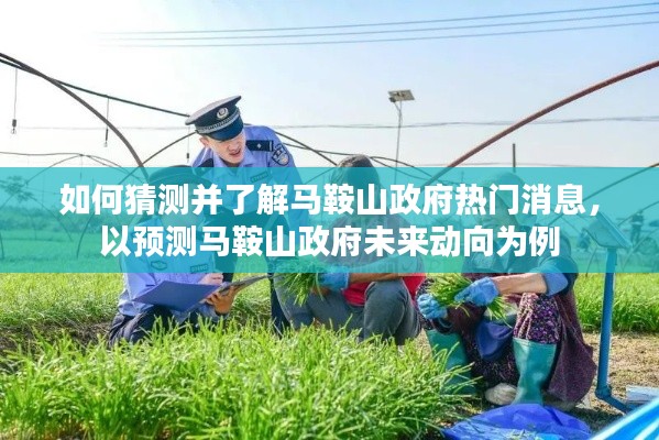 揭秘馬鞍山政府動態(tài)，如何洞悉熱門消息預(yù)測未來動向？