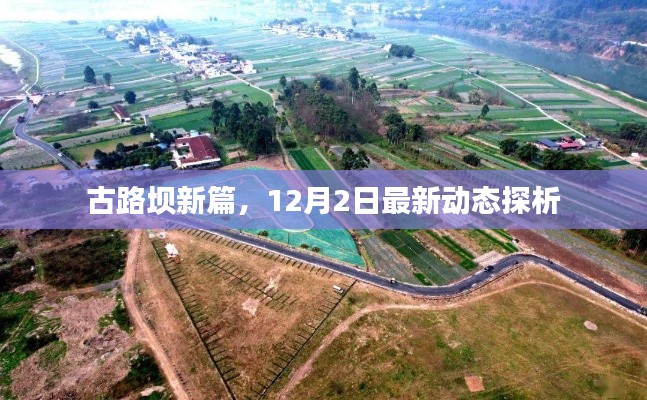 古路壩新篇，最新動(dòng)態(tài)深度解讀與探析（12月2日）