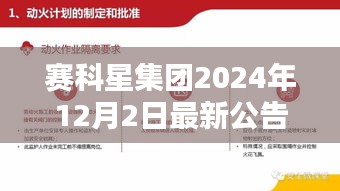 賽科星集團(tuán)最新公告全面評(píng)測與介紹（2024年12月2日）