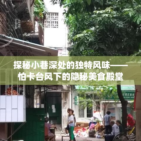 探秘臺(tái)風(fēng)下小巷深處的獨(dú)特美食殿堂——怕卡隱秘美食之旅
