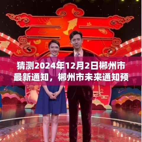 郴州市未來通知解讀與預測，聚焦2024年12月2日最新重點通知分析