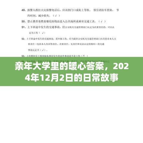 親年大學(xué)暖心日常，暖心答案背后的故事，2024年12月2日篇章