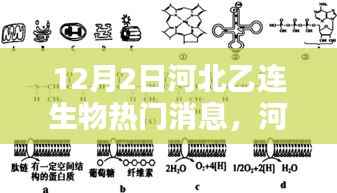 河北乙連生物在特定領(lǐng)域的深遠(yuǎn)影響與地位揭秘，最新消息與重大進(jìn)展，12月2日重磅發(fā)布