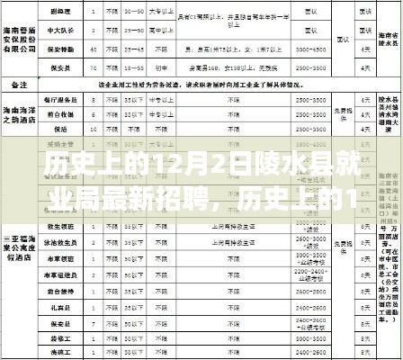 歷史上的12月2日陵水縣就業(yè)局最新招聘全攻略，教你如何成功應(yīng)聘的秘訣