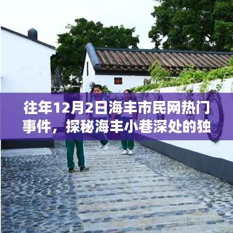 揭秘海豐小巷隱藏小店，往年12月2日市民網(wǎng)熱門事件背后的獨(dú)特風(fēng)味探索之旅