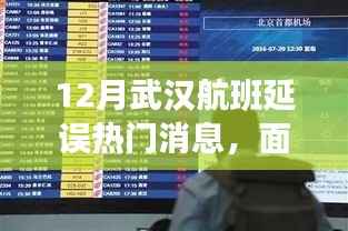 武漢航班延誤應(yīng)對(duì)指南，詳解熱門(mén)消息與實(shí)操指南