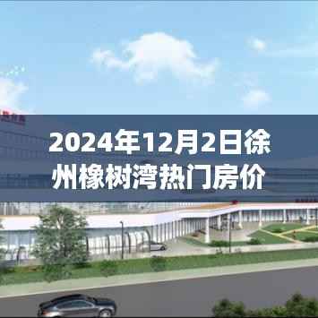 徐州橡樹灣房價蛻變見證夢想起航，勵志故事背后的勵志故事