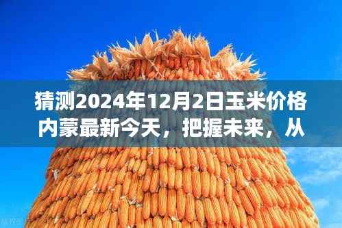 預(yù)測玉米價(jià)格趨勢，內(nèi)蒙最新動(dòng)態(tài)與未來展望（把握機(jī)遇，成就夢想）