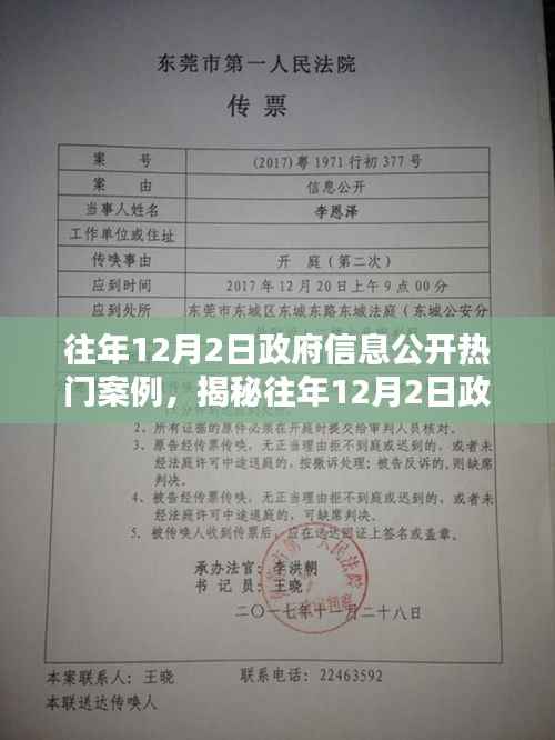 揭秘往年12月2日政府信息公開熱點(diǎn)案例回顧與啟示