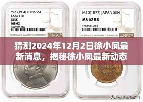 揭秘徐小鳳最新動(dòng)態(tài)，探尋小巷深處的獨(dú)特小店，揭曉徐小鳳最新消息2024年12月2日展望