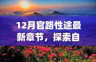 十二月官路性途最新章節(jié)，追尋自然美景與內心寧靜的和諧之旅