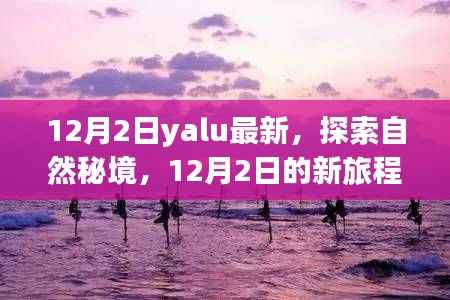 探索自然秘境，尋找內心的寧靜與平和——最新旅程始于12月2日