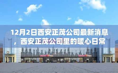 西安正茂公司暖心日常，12月2日的奇遇與陪伴