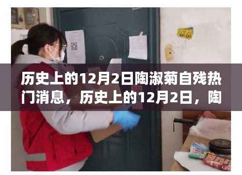 陶淑菊自殘事件，深度解析與歷史上的12月2日熱門消息回顧