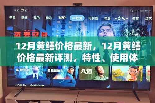 12月黃鱔價格最新動態(tài)，特性、使用體驗與競品對比全面評測
