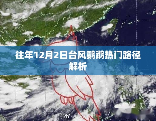 臺(tái)風(fēng)鸚鵡熱門路徑解析，歷年12月2日趨勢觀察