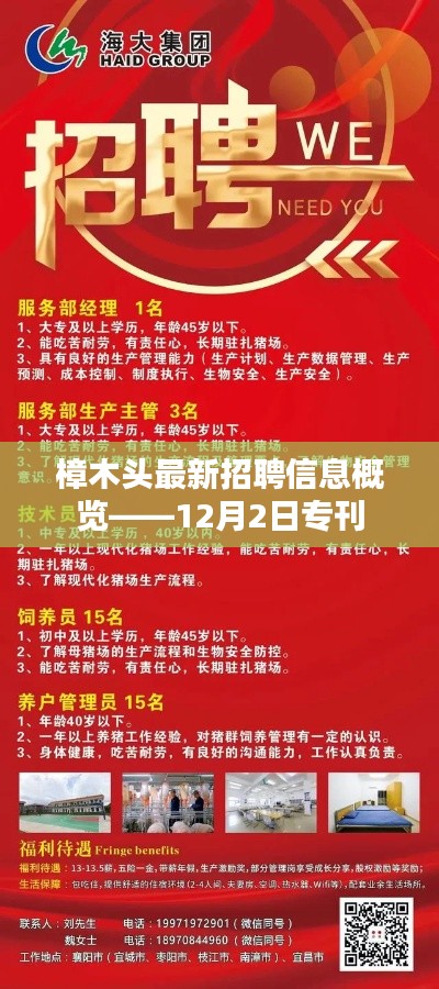樟木頭最新招聘信息專刊（12月2日版）