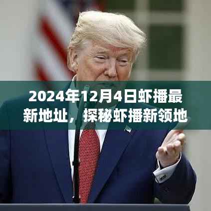 探秘蝦播新領(lǐng)地，尋找內(nèi)心平靜的奇妙旅行（最新地址，2024年12月4日）