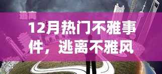 12月熱門不雅事件背后的暖心之旅，逃離紛擾，擁抱自然美景