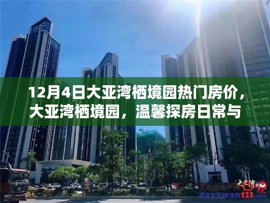 大亞灣棲境園房價(jià)動態(tài)，溫馨家園的探秘之旅