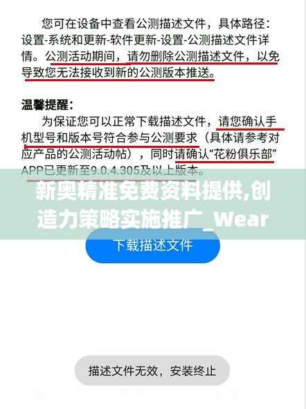 新奧精準(zhǔn)免費(fèi)資料提供,創(chuàng)造力策略實(shí)施推廣_WearOS89.576-6