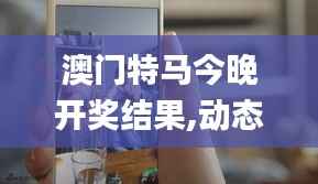 澳門特馬今晚開獎結(jié)果,動態(tài)詞匯解析_X版79.409-2
