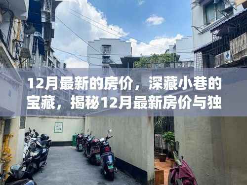 揭秘深藏小巷的寶藏，揭秘最新房價與獨特小店故事，帶你探索十二月的驚喜房價之旅