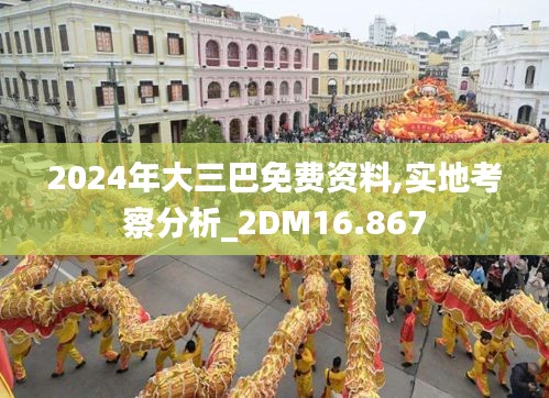 2024年大三巴免費資料,實地考察分析_2DM16.867