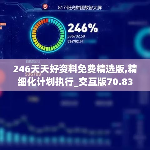 246天天好資料免費精選版,精細化計劃執(zhí)行_交互版70.830