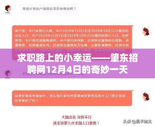 求職路上的幸運之旅，肇東招聘網(wǎng)12月4日紀(jì)實