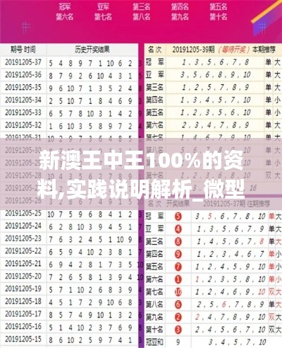 新澳王中王100%的資料,實(shí)踐說明解析_微型版47.767