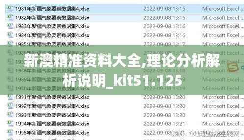 新澳精準(zhǔn)資料大全,理論分析解析說明_kit51.125